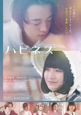 逆光飞翔